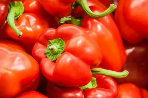 تصویر 1 از فلفل دلمه‌ ای قرمز با ماندگاری بالا و کیفیت مطلوب